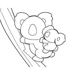 Koala #5589