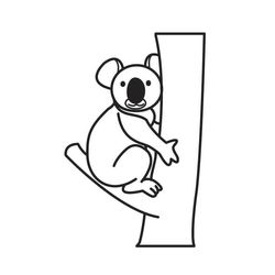 Koala #5591