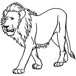 León #5670