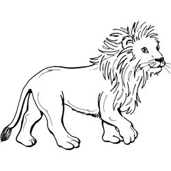 León #5671