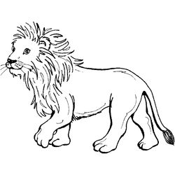 León #5673