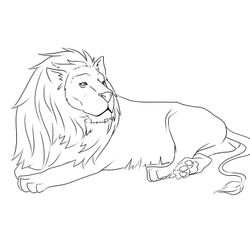 León #5674