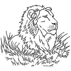 León #5679