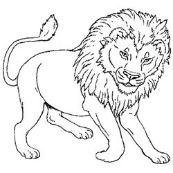 León #5692
