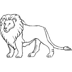 León #5693