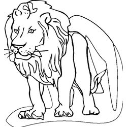 León #5694