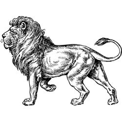 León #5696