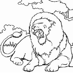 León #5702