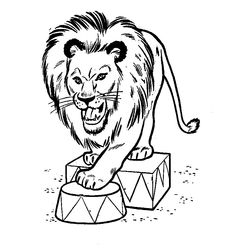 León #5717