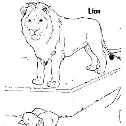 León #5718