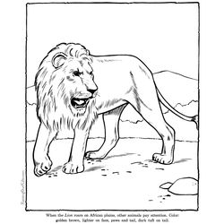 León #5719