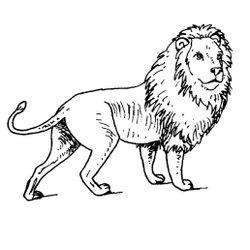 León #5725