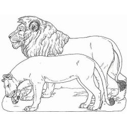León #5730