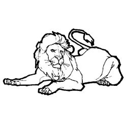 León #5732