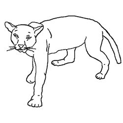 León #5737