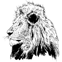 León #5742