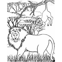 León #5745