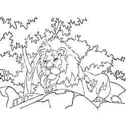 León #5765