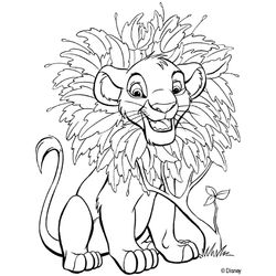 León #5768