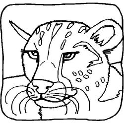 León #5771