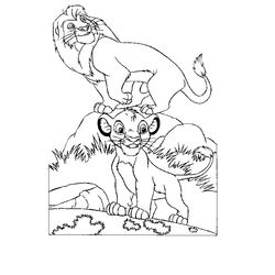 León #5772