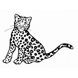 Leopardo #5782