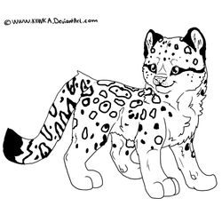 Leopardo #5784