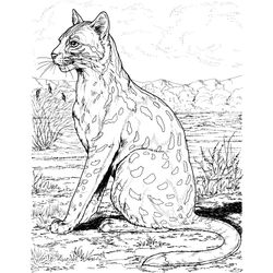 Leopardo #5787