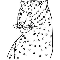 Leopardo #5792