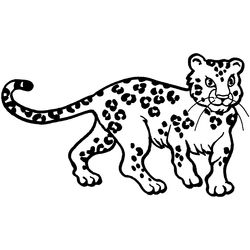 Leopardo #5793