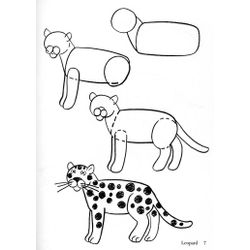 Leopardo #5800