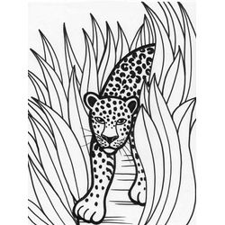 Leopardo #5806