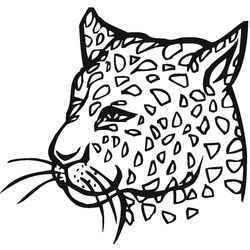 Leopardo #5819