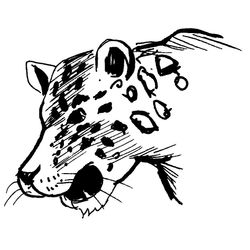 Leopardo #5820