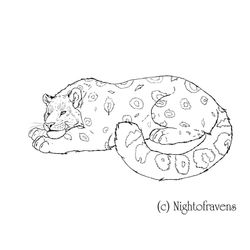 Leopardo #5822