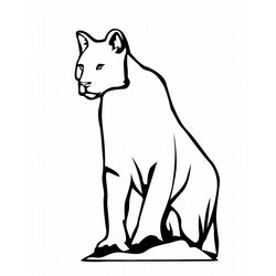 Leopardo #5832