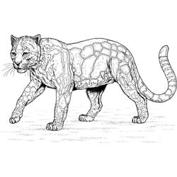 Leopardo #5838