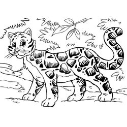 Leopardo #5841