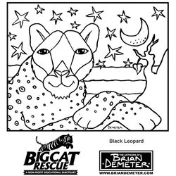 Leopardo #5844