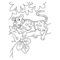 Leopardo #5853