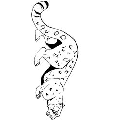 Leopardo #5855