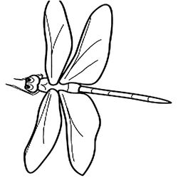 Libélula #5871