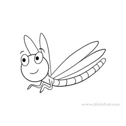 Libélula #5880
