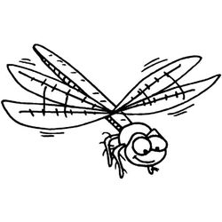 Libélula #5888