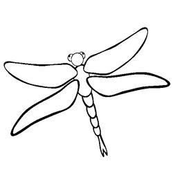 Libélula #5889