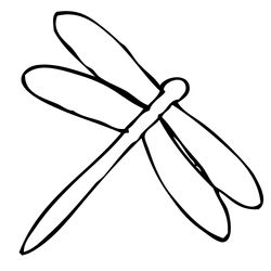Libélula #5892
