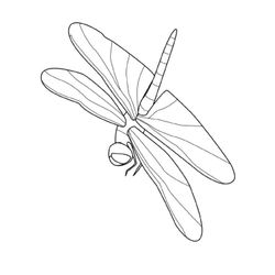Libélula #5909