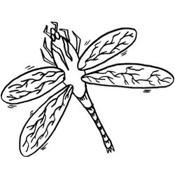 Libélula #5926