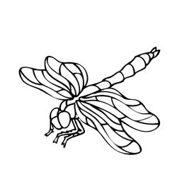 Libélula #5942
