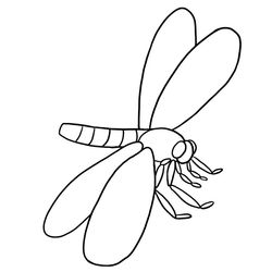 Libélula #5943